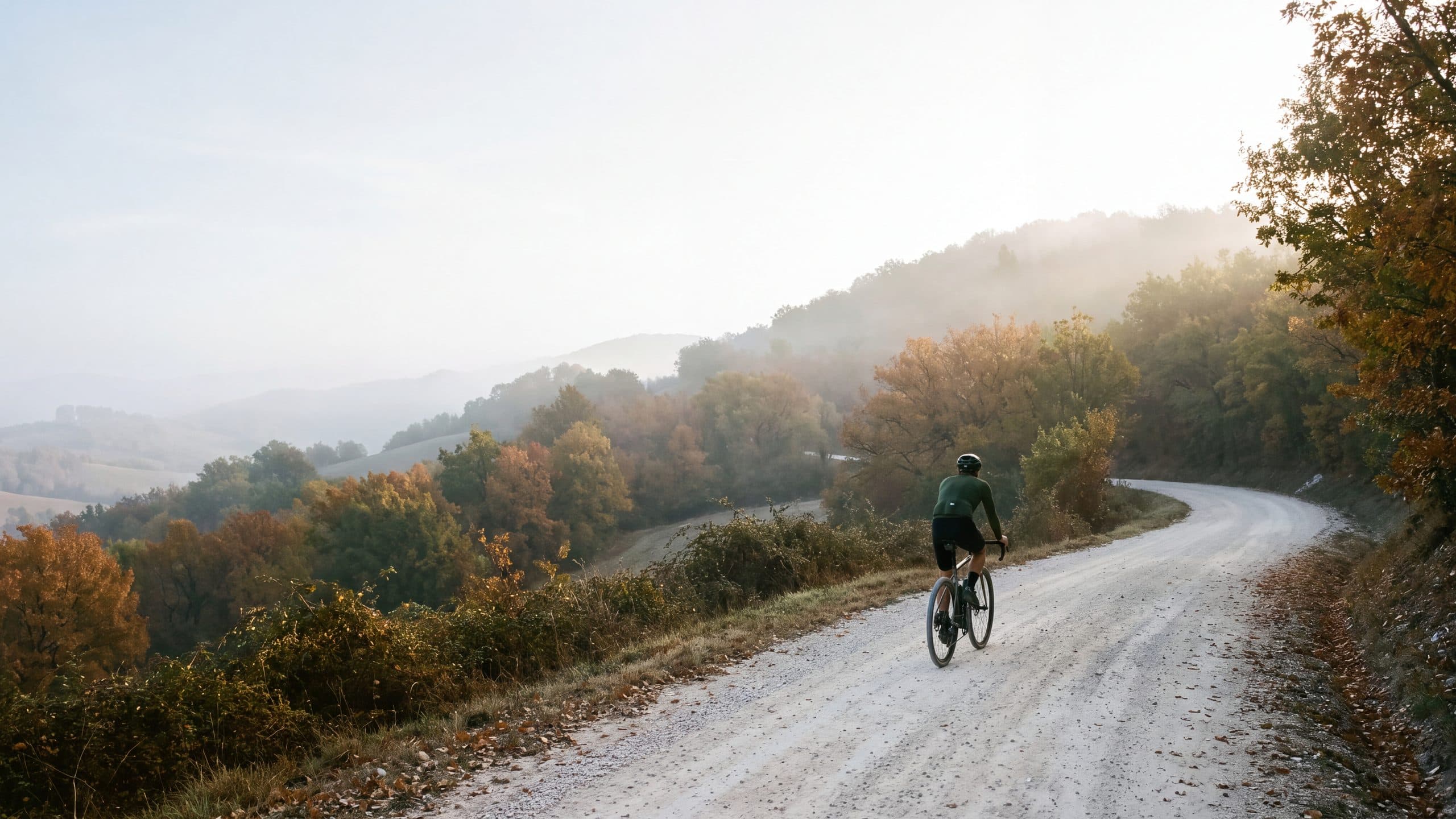 Strada bianca tra le colline di Pergola