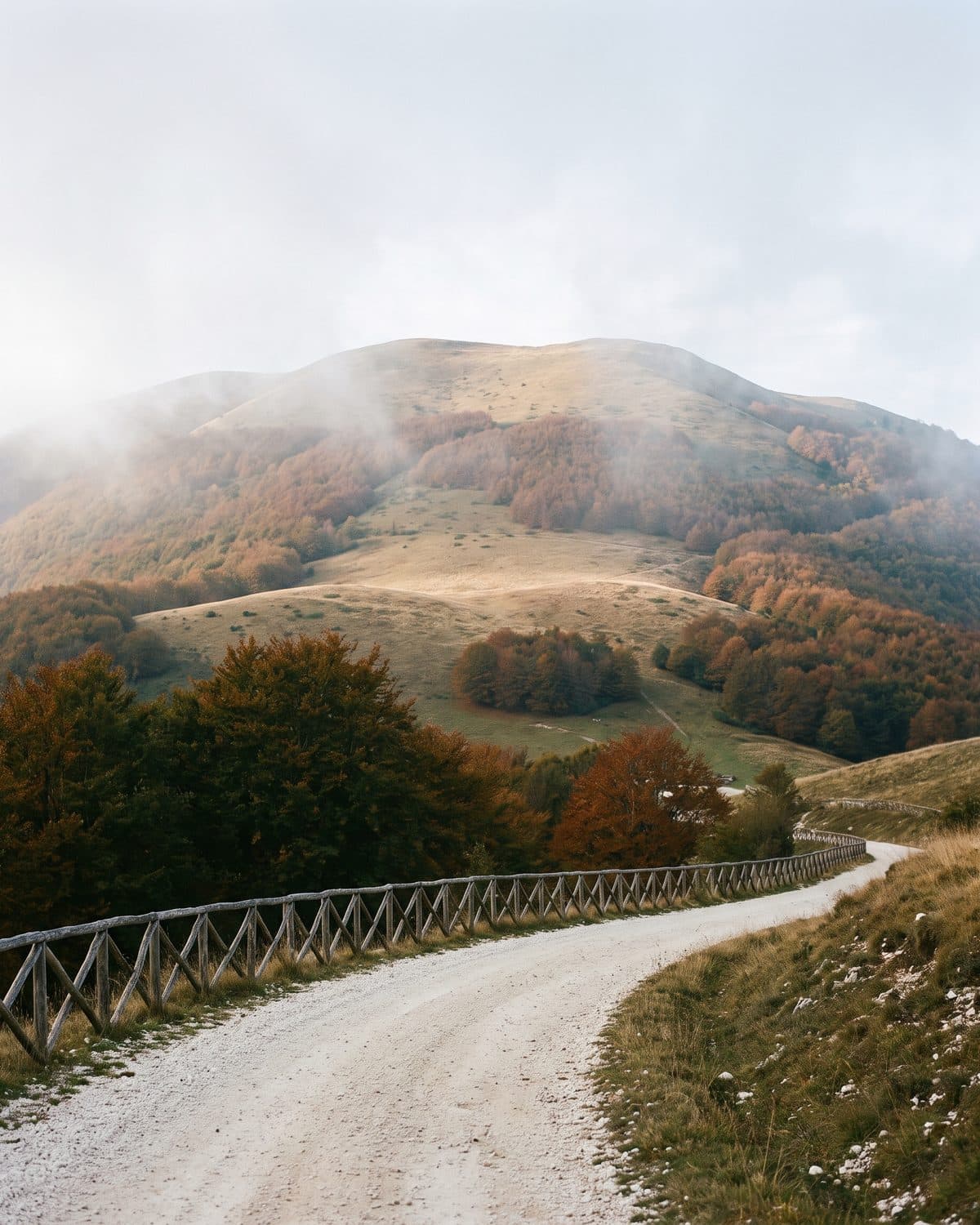 Monte Catria