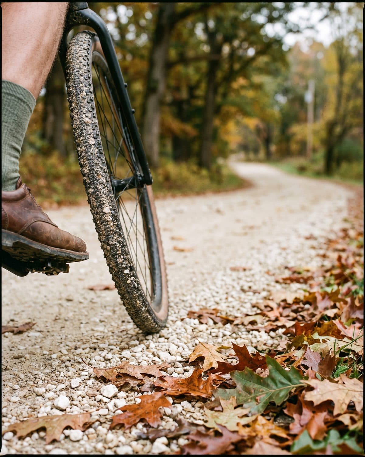 Strade bianche